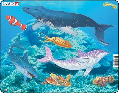 Complete - Sea Animals and Fishes