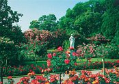 Garden in Mainau