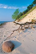 Wolin National Park, Poland