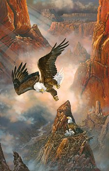 Eagle Nest