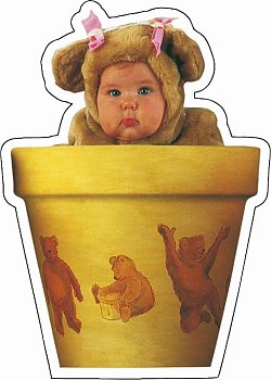 In the Flowerpot