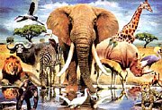 African Animals