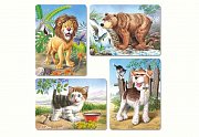 Animals