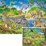 Animals