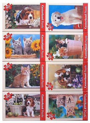 Animals