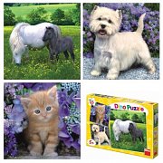 Animals