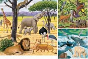 Animals From All Over the World