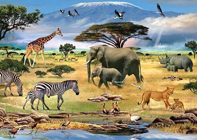 Animals in Africa