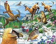 Animals in the mountains