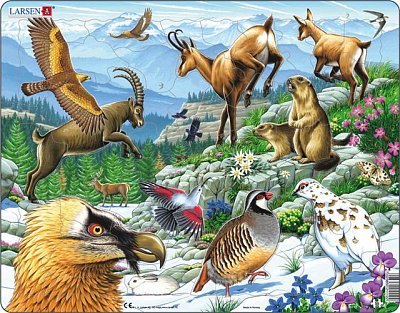 Animals in the mountains