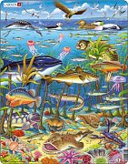 Animals in the sea