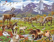 Animals in the steppe