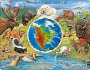 Animals of North America
