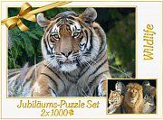 Animals of the wild(2x1000)
