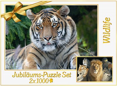 Animals of the wild(2x1000)