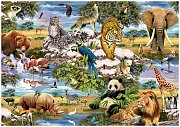 Animals of the World