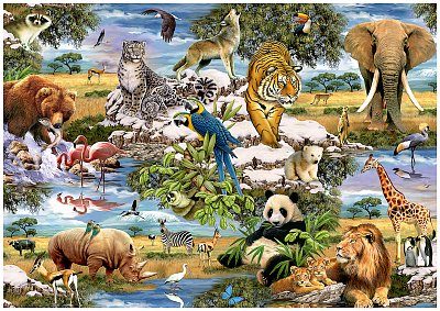 Animals of the World