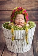 Baby in the Flowerpot