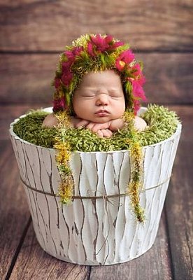 Baby in the Flowerpot