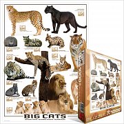 Big Cats