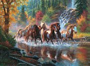 Born to Run
