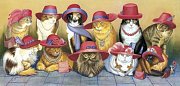 Cats and the hats