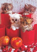 Chery Cats