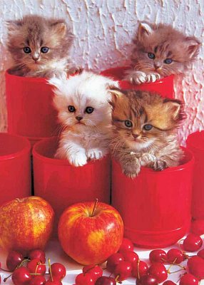 Chery Cats