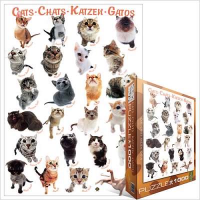 Classic Cat Breeds