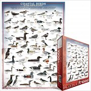 Coastal Birds