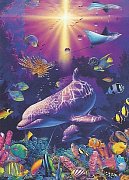 Coral World Reflected