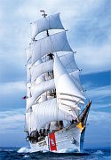 Eagle Sailing Ship