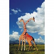 Giraffes