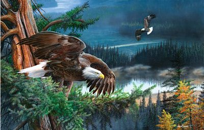 Heaving of the wings