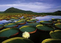 Lake Victoria