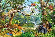 Life Hidden in Jungle