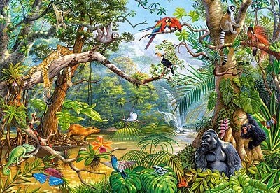Life Hidden in Jungle