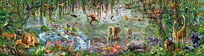 Life in Wilderness