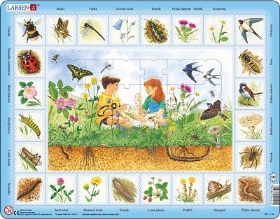 Life on the meadow and under ground