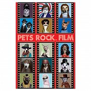 Pets Rock - Film