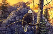 Proud Eagle by the Sunrise