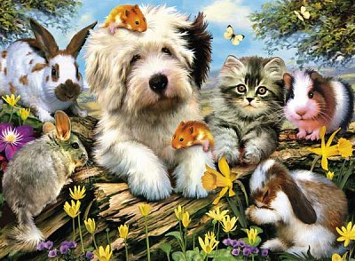 The Cute Animals in the Garden