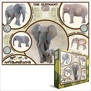 The Elephant