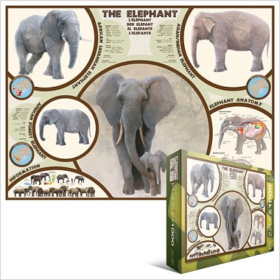 The Elephant