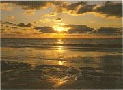 The Sunset