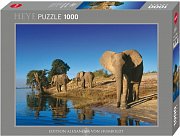 Thirsty Elephant