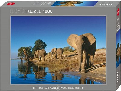 Thirsty Elephant