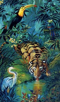 Tiger and Toucan in the Jungle
