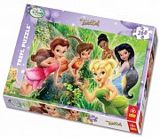 Tinker Bell - small group