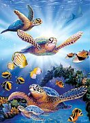 Turtles